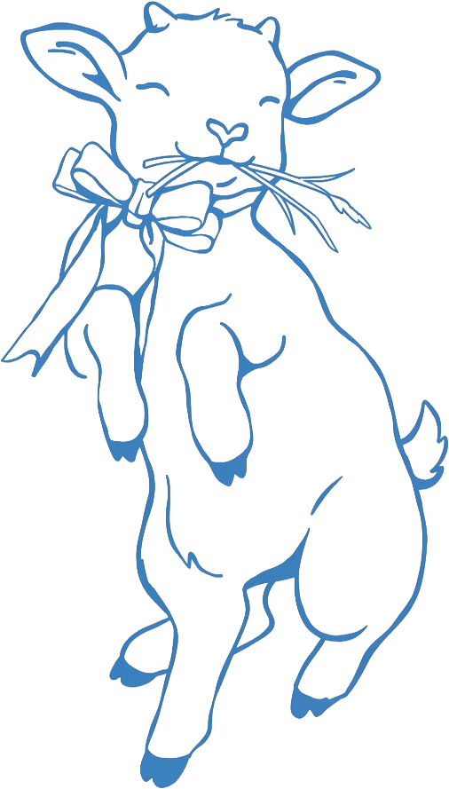 A graphic line drawing of a cute goat with a bow in the sitting position.