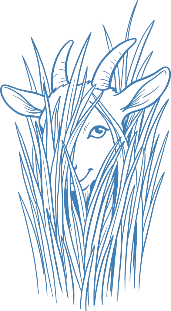 Graphic line drawing of a goat peeking through tall grass.